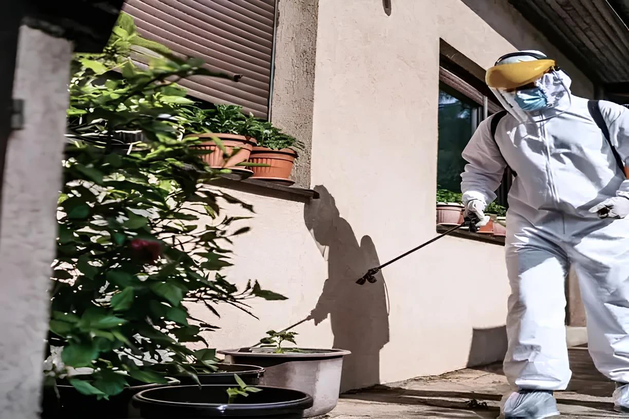 Comment Choisir un Prestataire de Lutte contre les Nuisibles — 8 Critères Clés