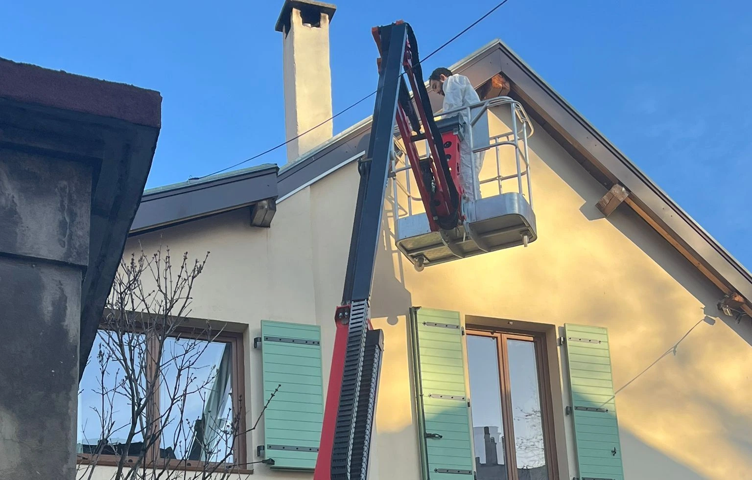 Protection contre les Pigeons : Solutions Professionnelles et Durables